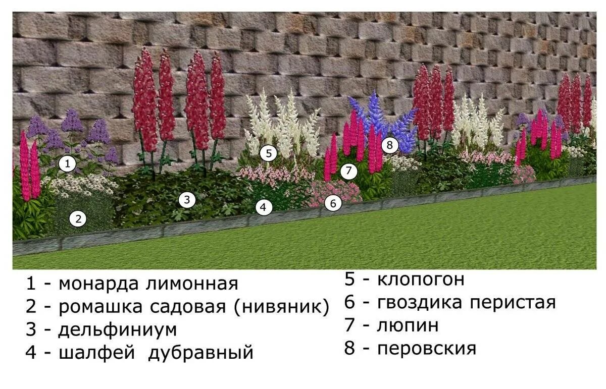 На каком расстоянии сажать цветы. Рабатка схема цветника. Схема рабатки непрерывного цветения. Рабатка в ландшафтном дизайне схема. Схемы клумб рабаток.