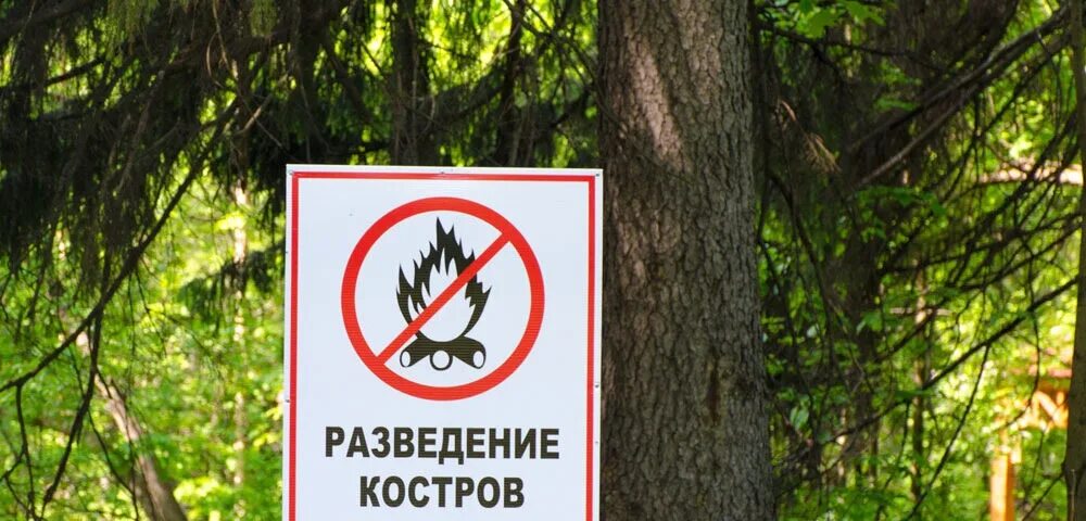 Запрет на посещение лесов в свердловской. Разведение костров запрещено. посещение лесов запрещено. особо противопожарный режим. посещение лесов запрещено табличка.