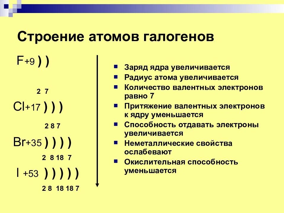 Что общего в строении атомов галогенов тест. Схемы строения атомов галогенов. схема атома галогена. общая характеристика галогенов. особенности строения атомов галогенов.