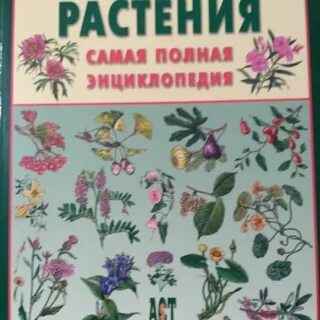 Энциклопедия лекарственных растений