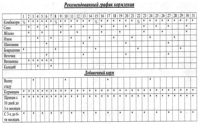Расписание кормления животных. Таблица рациона питания шиншилл. график кормления животных. рацион кормления шиншилл таблица. график кормления шиншиллы.