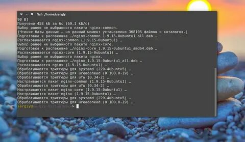 Linux nginx