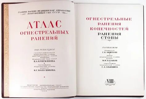 Раненные книга