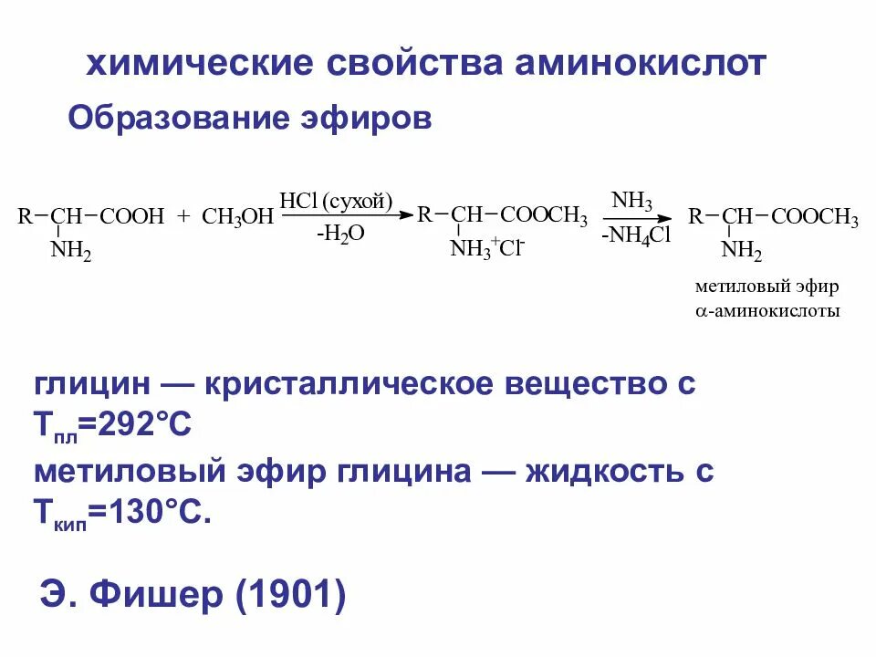 Глицин химические свойства. Образование эфиров аминокислот. Метиловый эфир глицина HCL. Метиловый эфир глицина формула. Глицин бензол