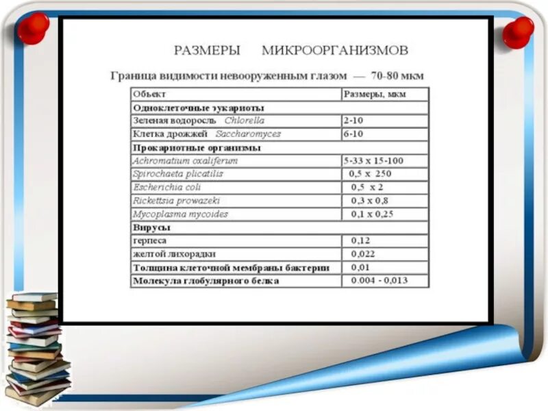 Размер бактерии в мкм. Размеры микроорганизмов. размеры бактерий. размеры микроорганизмов таблица. размер бактерии мкм.