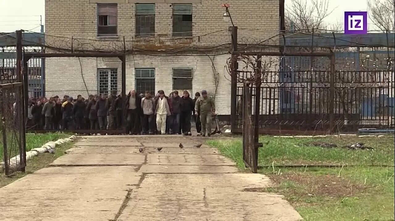 Где наши пленные. Пленные украинские солдаты. Где наши пленные. Где наши пленные. Плненые русские на украинн.