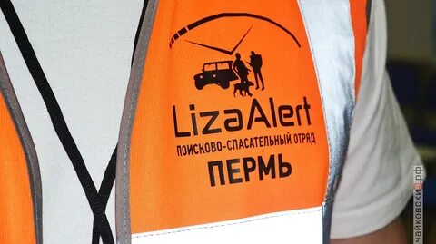 Алерт поиск