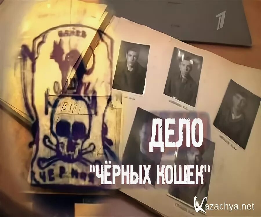 Иван митин черная кошка фото Банда Чёрная кошка или как отличники из Подмосковья стали прототипом для культов