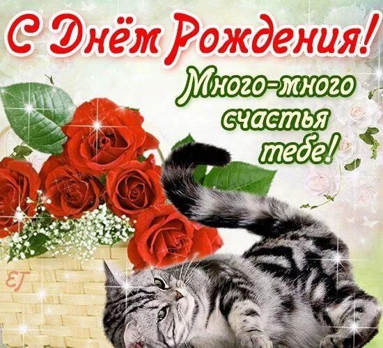 Поздравления с днём рождения надежде. Поздравления с днём рождения надежде. С днем рождения. С днем рождениянадежла. Поздравления с днём рождения надежде.