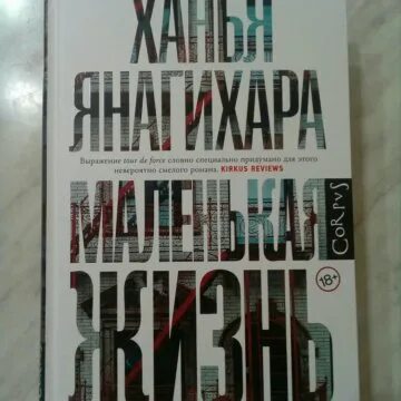 Аудиокнига маленькая жизнь слушать. Маленькая жизнь Ханья Янагихара книга. Маленькая жизнь Ханья Янагихара иллюстрации. Ханья Янагихара маленькая жизнь оглавление. Маленькая жизнь Ханья Янагихара триггеры.