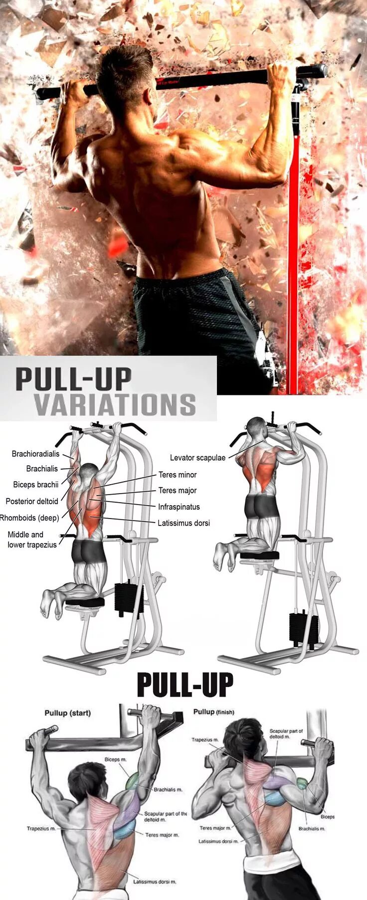Pull up on that. Pull ups упражнение. pull up упражнение. pull up тренировка. pull ups кроссфит.