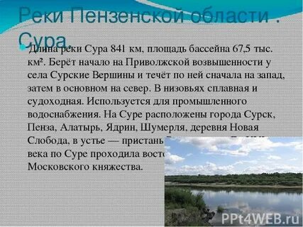 Письмо черепахе о водных