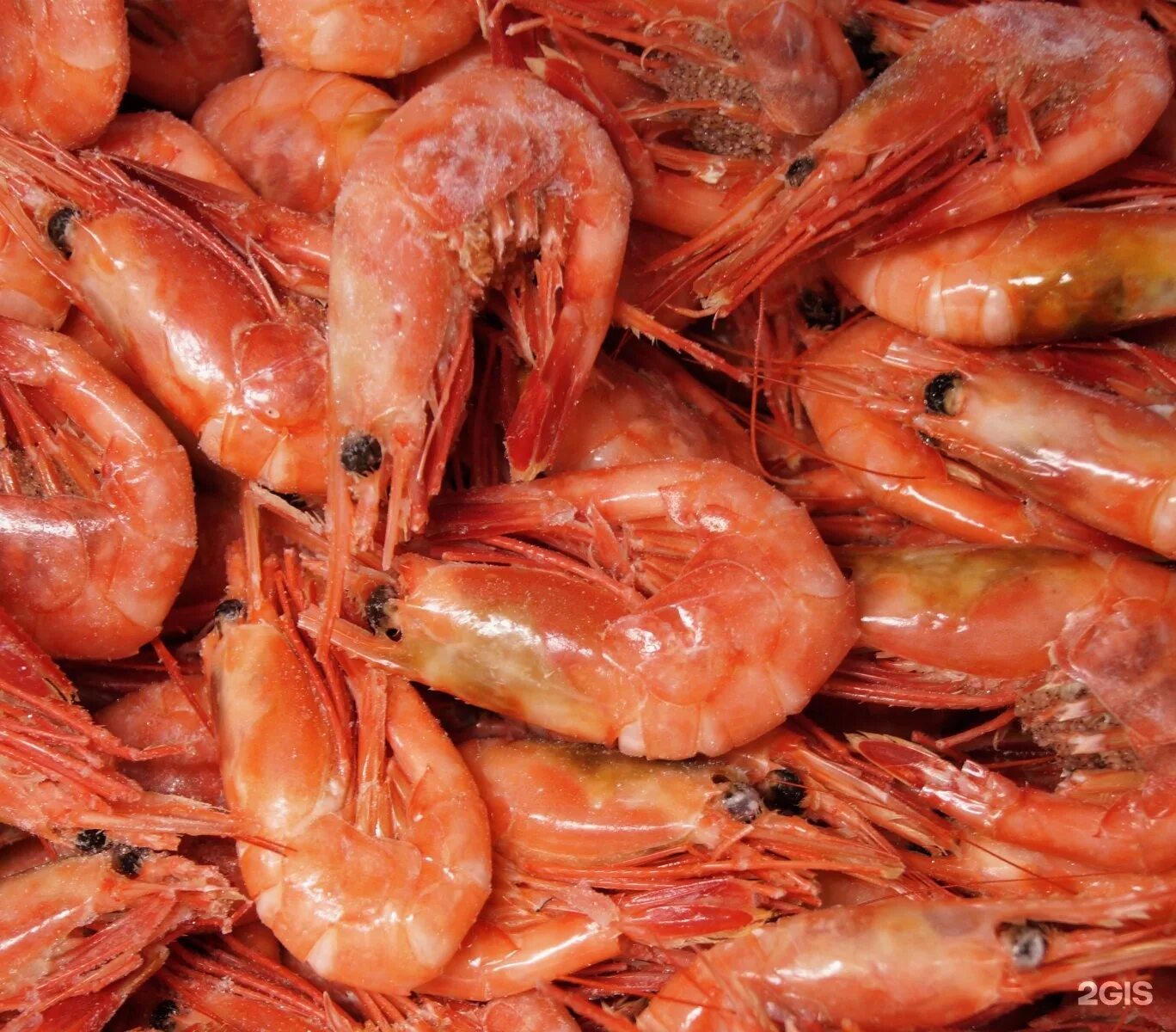 санкт-петербург краб. нигири с креветкой. пиво с креветками. креветочная спб. королевская креветка xxl.