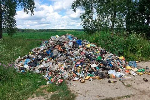 Без куч