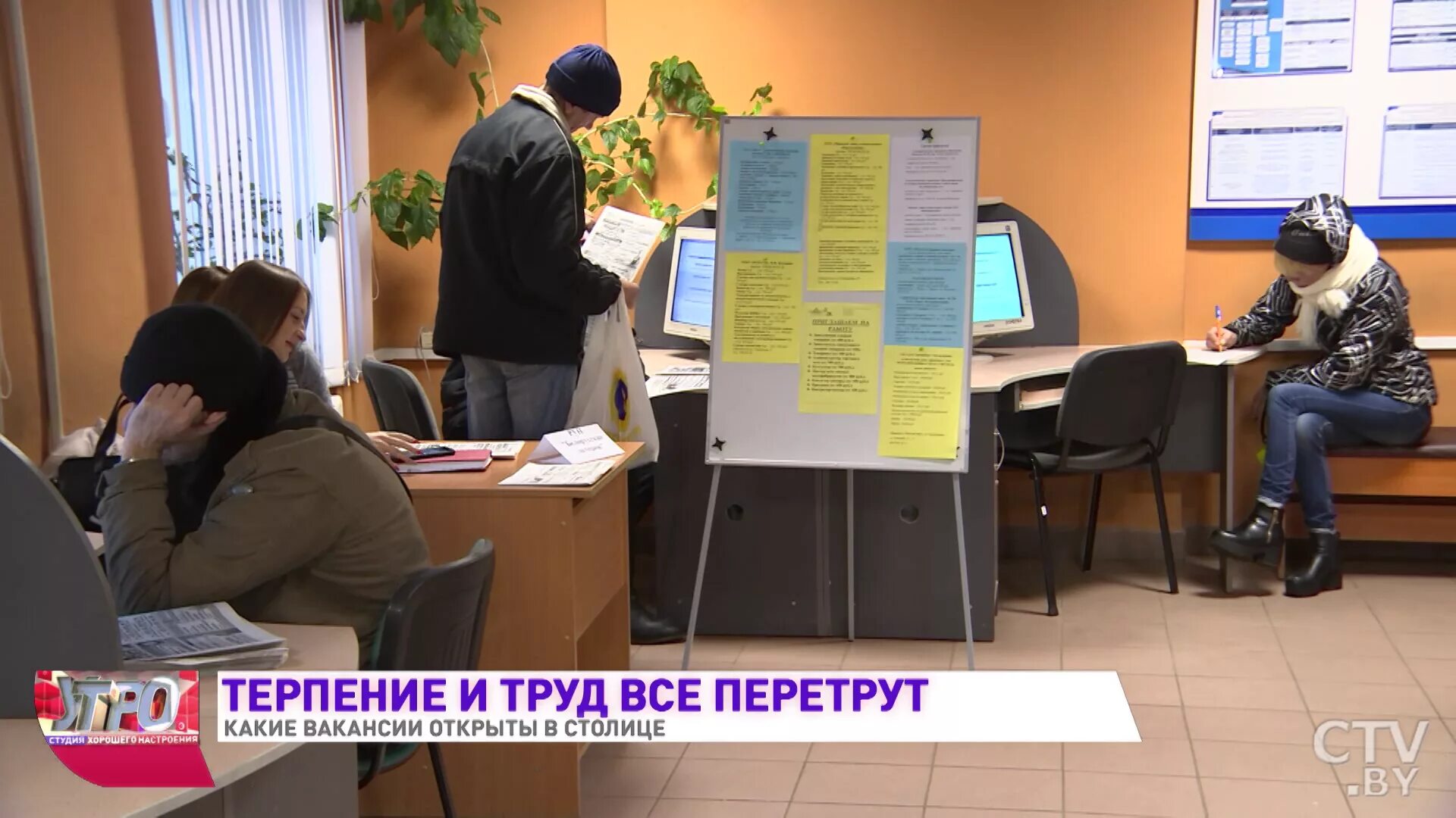 центр занятости курсы. профессиональное образование в центре занятости. обучение безработных граждан центр занятости. предпенсионный возраст. программа занятости для мам в декрете.