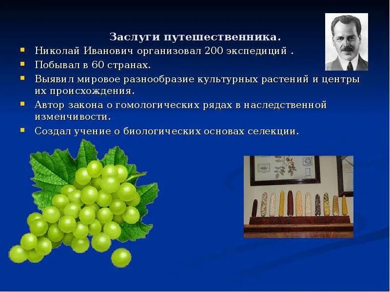 Проект 3 класс вавилов окружающий мир PPT Николай Вавилов PowerPoint Presentation, free download ID:6471848