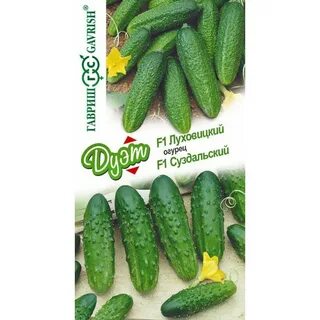Описание огурцов луховицкие