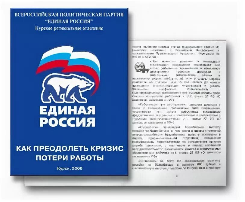 Устав партии единая россия. Устав политической партии Единая Россия. Буклет партии Единая Россия. Листовка партии Единая Россия.