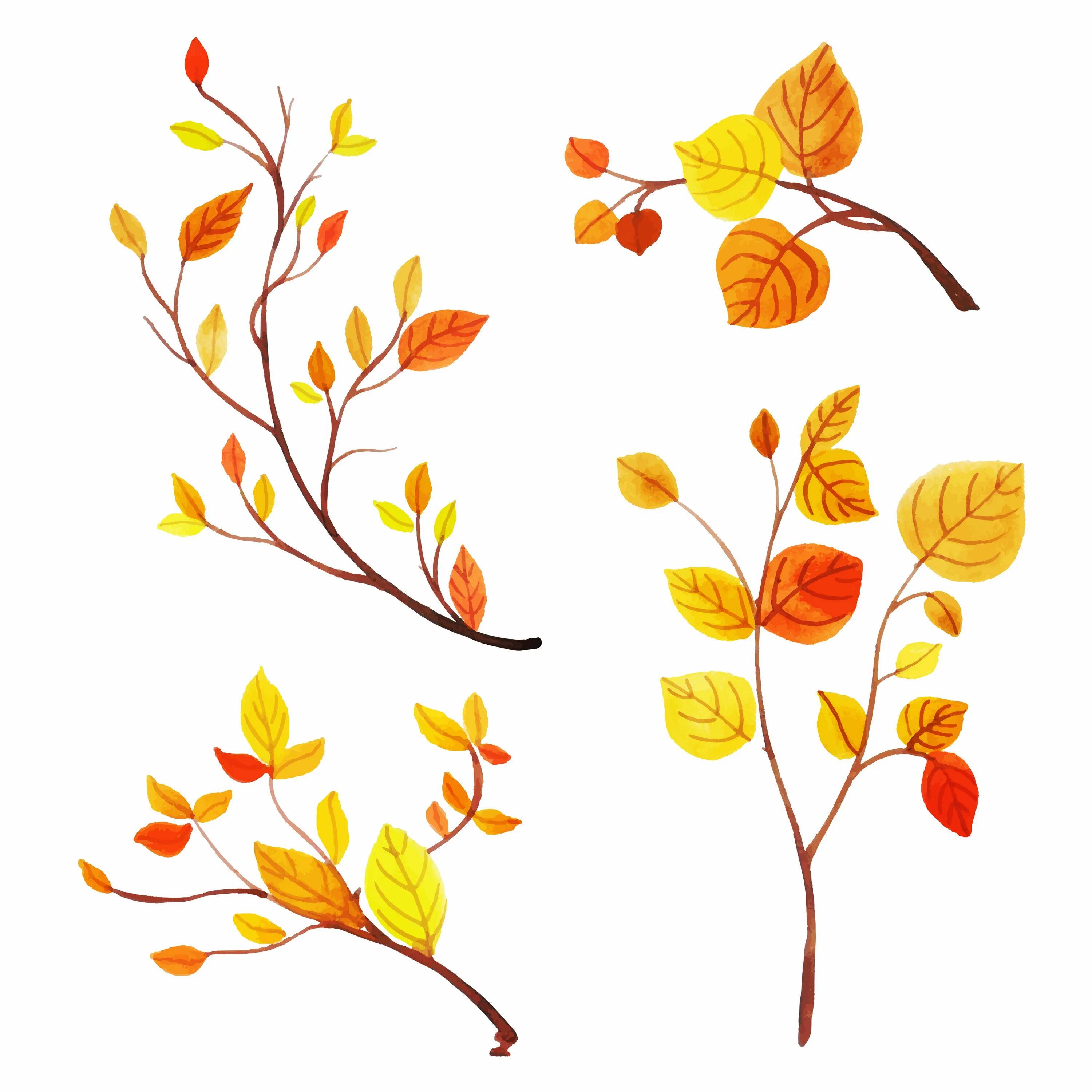 Ветка осенних листьев. Осенняя веточка. Осенние листья акварель. Осенняя ветка акварель. Осенние веточки акварель.