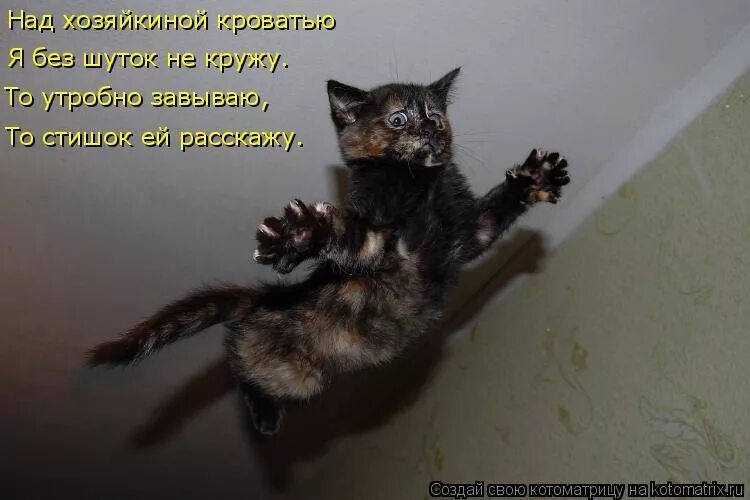 Слово не мимо идет. Счастье рядом цитаты. Стихотворение зинаиды гиппиус идущий мимо. Мимо текла река песня. Слово не мимо идет.