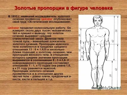 Изменение размеров тела его пропорций телосложения