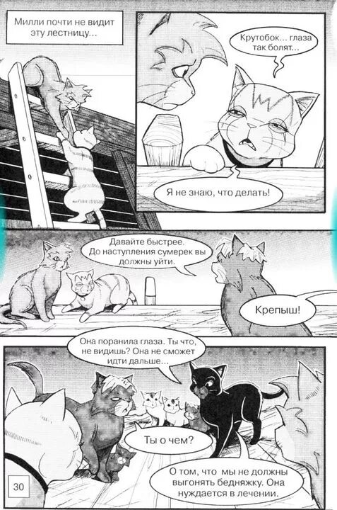 Коты воители манга прибежище воителя. Прибежище воителя читать. Прибежище воителя читать. Коты воители манга крутобок. Эрин хантер коты воители.