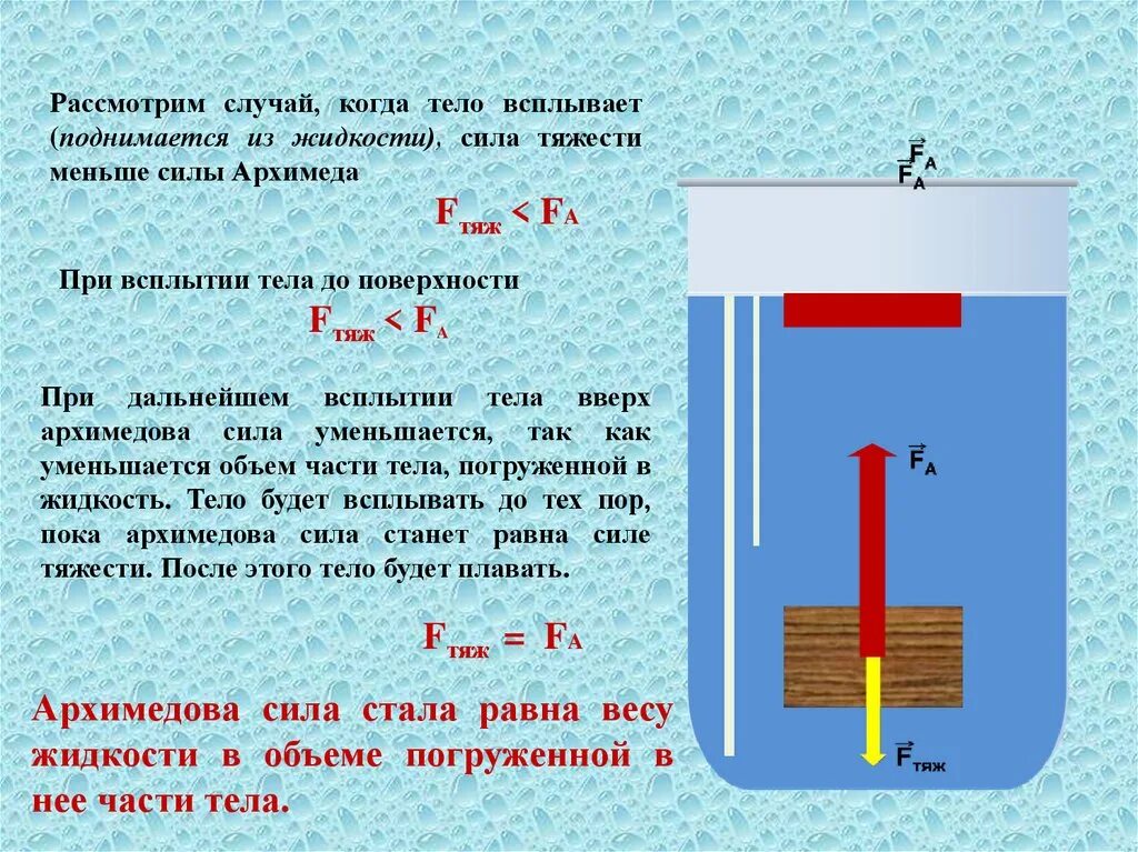 Тело лежит на дне сосуда. Сила тяжести действующая на воду формула. Силы действующие на тело погруженное в воду. Сила тяжести действующая на тело. Сила Архимеда равна весу жидкости.