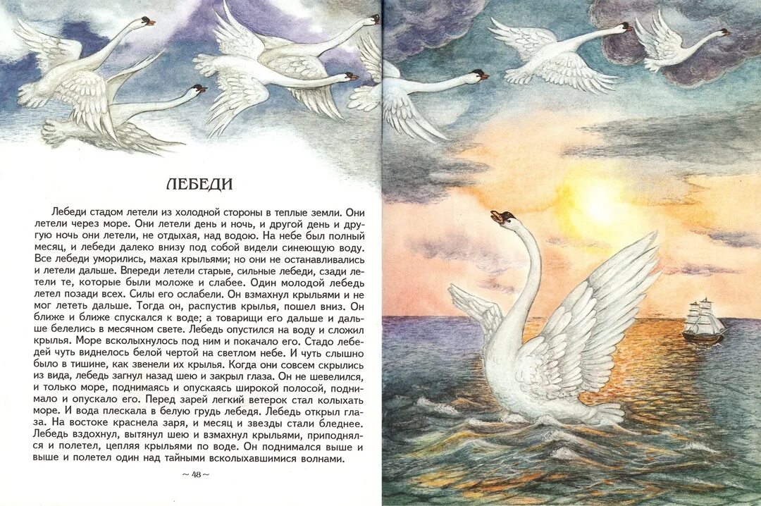 Н толстого. О чем произведение лебеди. Лев толстой стих лебеди. Толстой про лебедя рассказ 3 класс. О чем произведение лебеди.