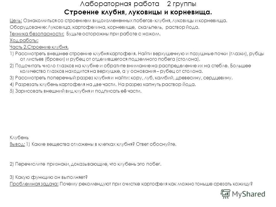 Лабораторная работа строение луковицы. Лабораторная работа строение корневища клубня и луковицы. Лабораторная работа строение луковицы. Лабораторная работа строение корневища клубня и луковицы. Лабораторная работа строение корневища клубня и луковицы.