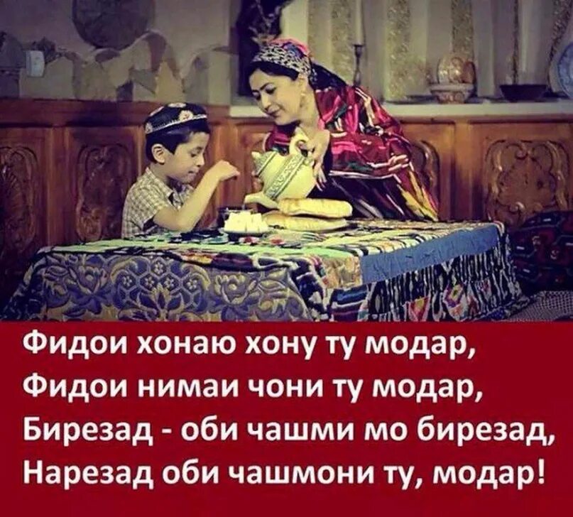 Модар. Модар Шер. Падару модар картинка. Шер модарчон.