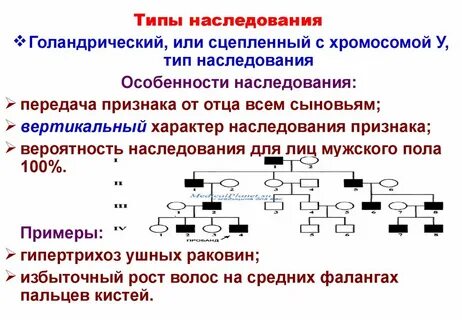 Особенности аутосомно доминантного наследования