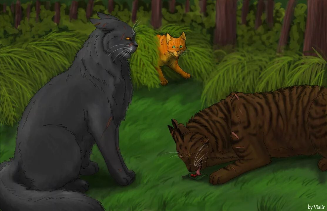 Warrior cats clans. Коты Воители звездолом. Коты Воители звездолом смерть. Коты Воители Щербатая. Коты Воители смерть Щербатой.