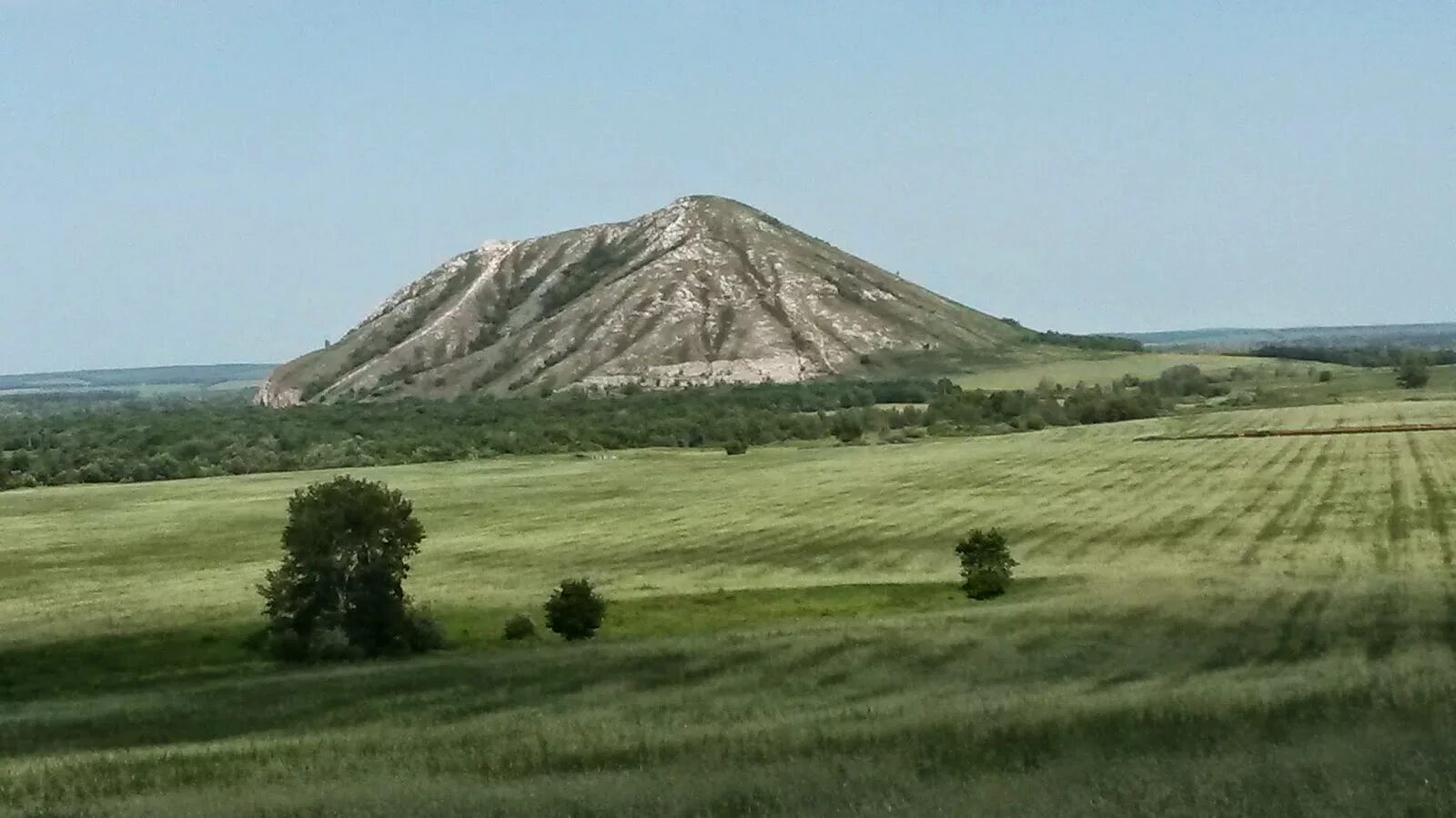 3 шихана башкирии