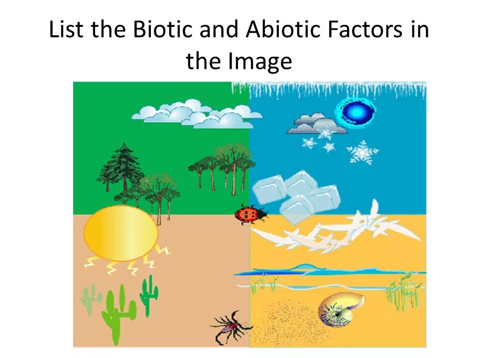 Abiotic factor читы. Abiotic. biotic abiotic. biotic and abiotic factors. abiotic factor игра.