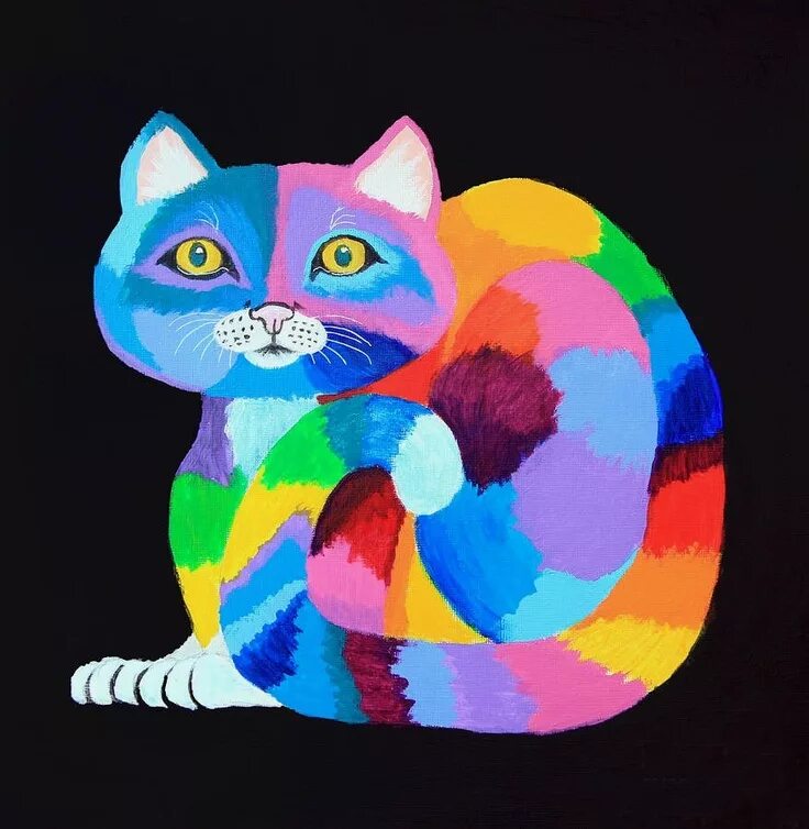 She cat colours