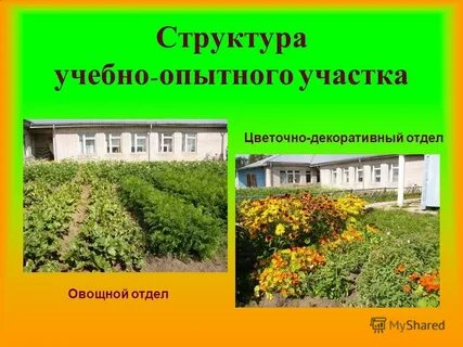 Учебно опытный участок
