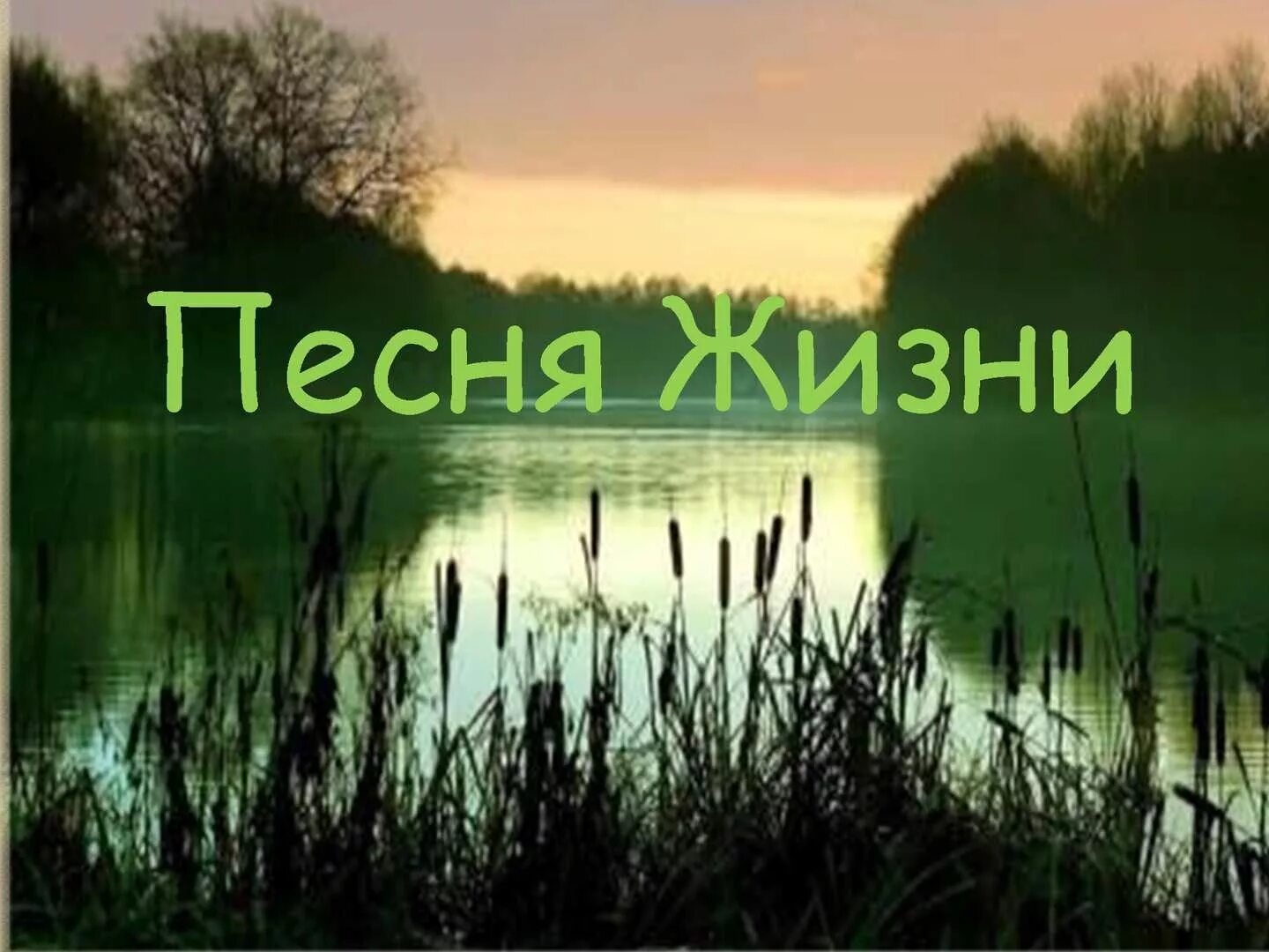 Песня жизненная красива. Гимн жизни. Жизненные песни. Песни красивая жизнь. Песня жизни.