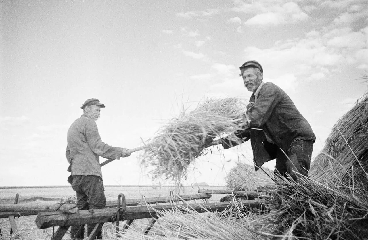 Труженики республики. Семён Осипович Фридлянд сельское хозяйство СССР. Сельское хозяйство СССР В 50-Е 60-Е годы. Сельское хозяйство в 30-е годы в СССР. Россия 30е годы колхоз.