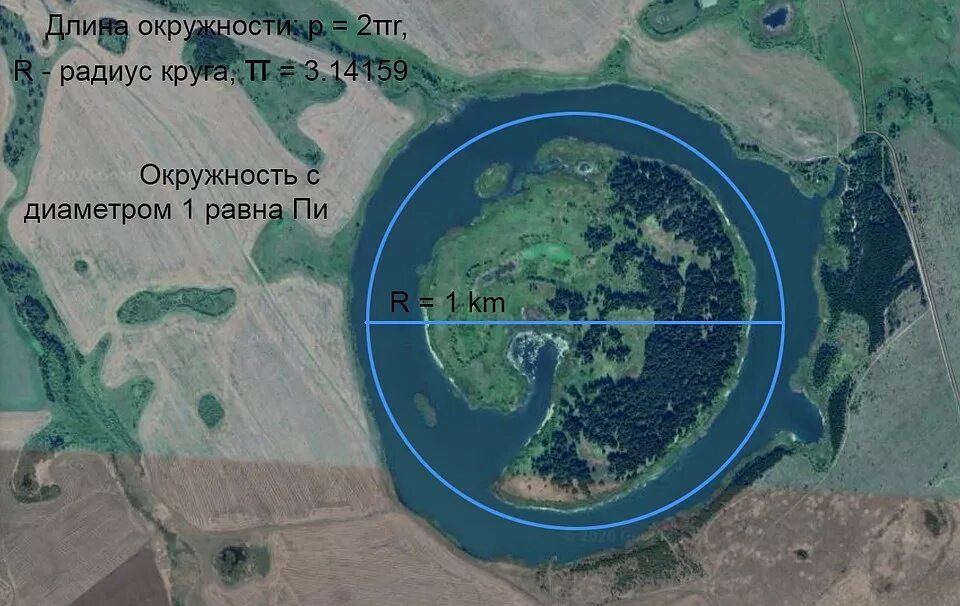каковы генотипы родителей. круглой формы доминирует. грушевидная круглая форма плодов. круглая форма плода томата доминирует. у арбузов круглая форма плода доминирует над.