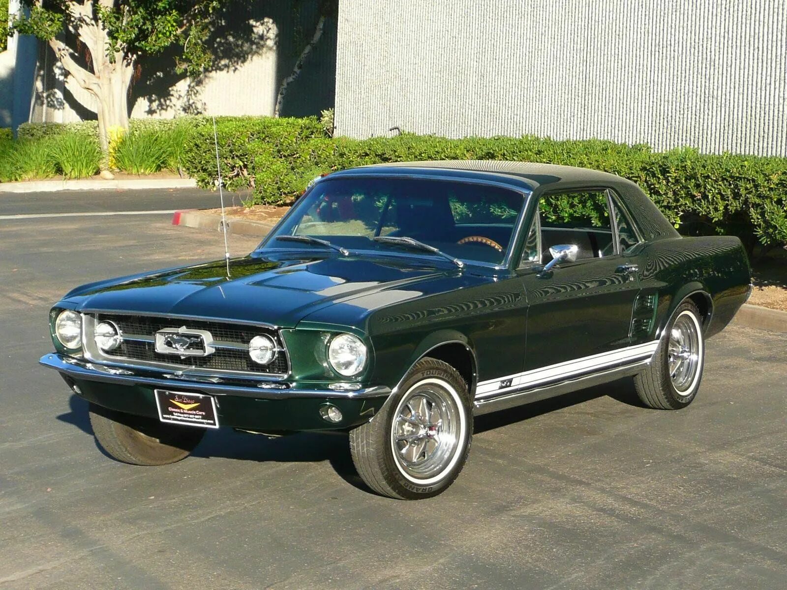 Ford mustang 1967. Форд мустанг 1967 мустанг. ford mustang 67. ford mustang gt coupe 1967.