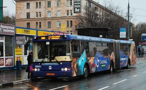 Автобус тут москва