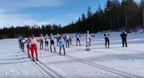 Полярные зори кандалакша