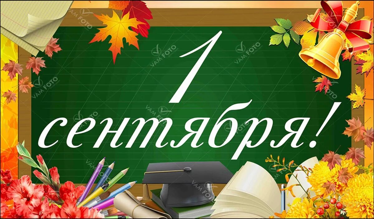 Осенний клипарт на прозрачном фоне. Баннер осень для детского сада в музыкальный. Нотки осени. Ноты на желтом фоне. Фоновая музыка для слов на 1 сентября.