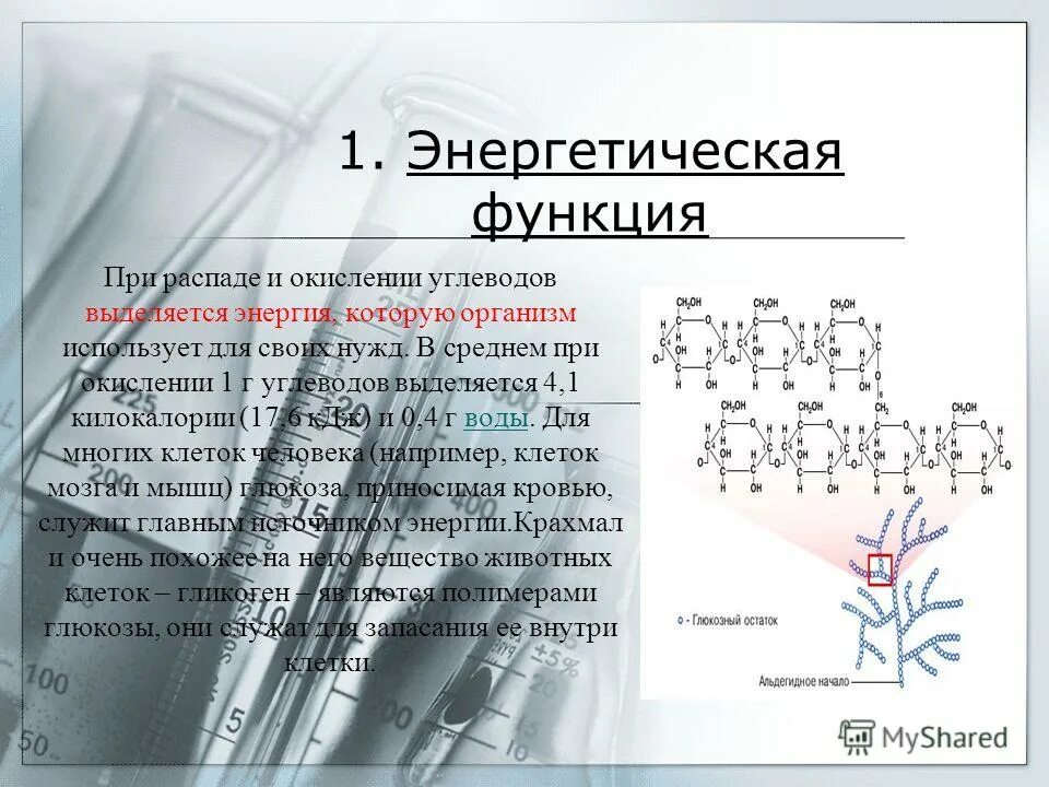 Характеристика энергетической функции углеводов. Функция углеводов целлюлозы. Функция углеводов целлюлозы. Функции углеводов в организме человека. Функции углеводов биология таблица.