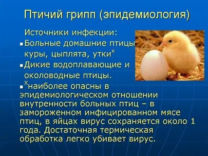 Сальмонеллез водоплавающей птицы