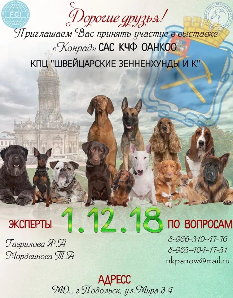 Выставка собак в Тамбове декабрь 2018 год.