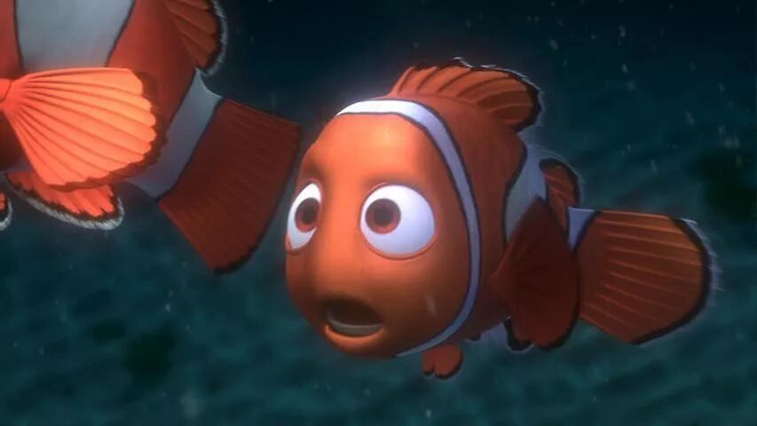 Poenam nemo. Хаус и немо. Немо персонажи дори. В поисках немо дори. Poenam nemo.