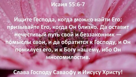 Ищу господу