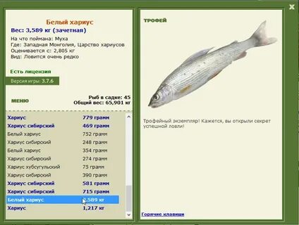 Белый байкальский хариус реальная рыбалка