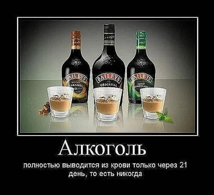 Прикольные алкогольные картинки. Прикольные алкогольные картинки. Прикольные алкогольные картинки. Смешные приколы про алкоголь. Приколы про алкоголь.